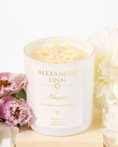 Prosper | Candle of Propsperity